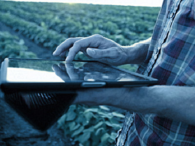 Internet Rural