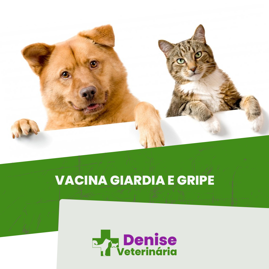 Vacina Giardia e Gripe